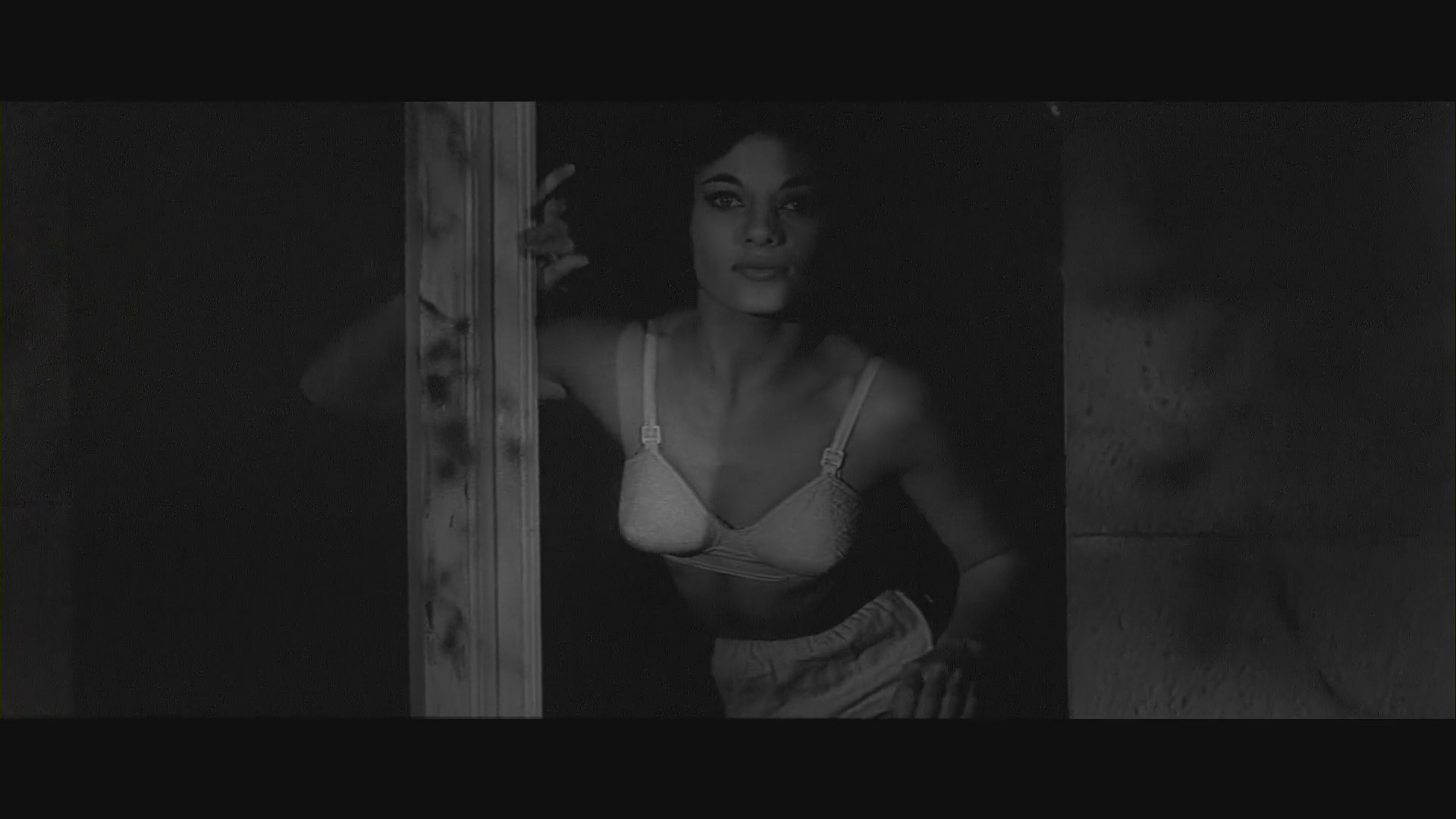 Curse of the Fly Background