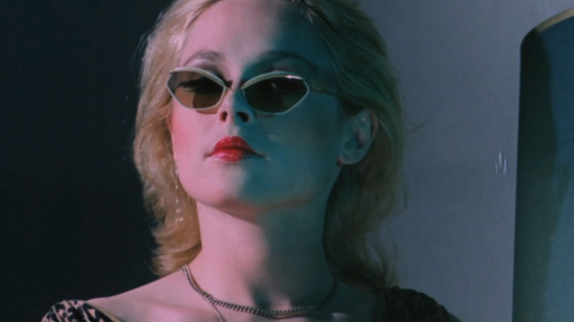 I Like Bats Background