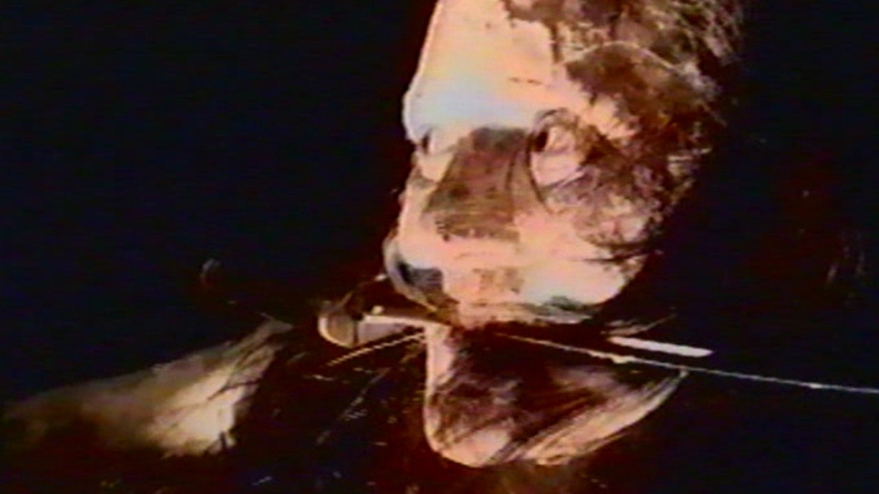 Tot - Aber Glücklich Background