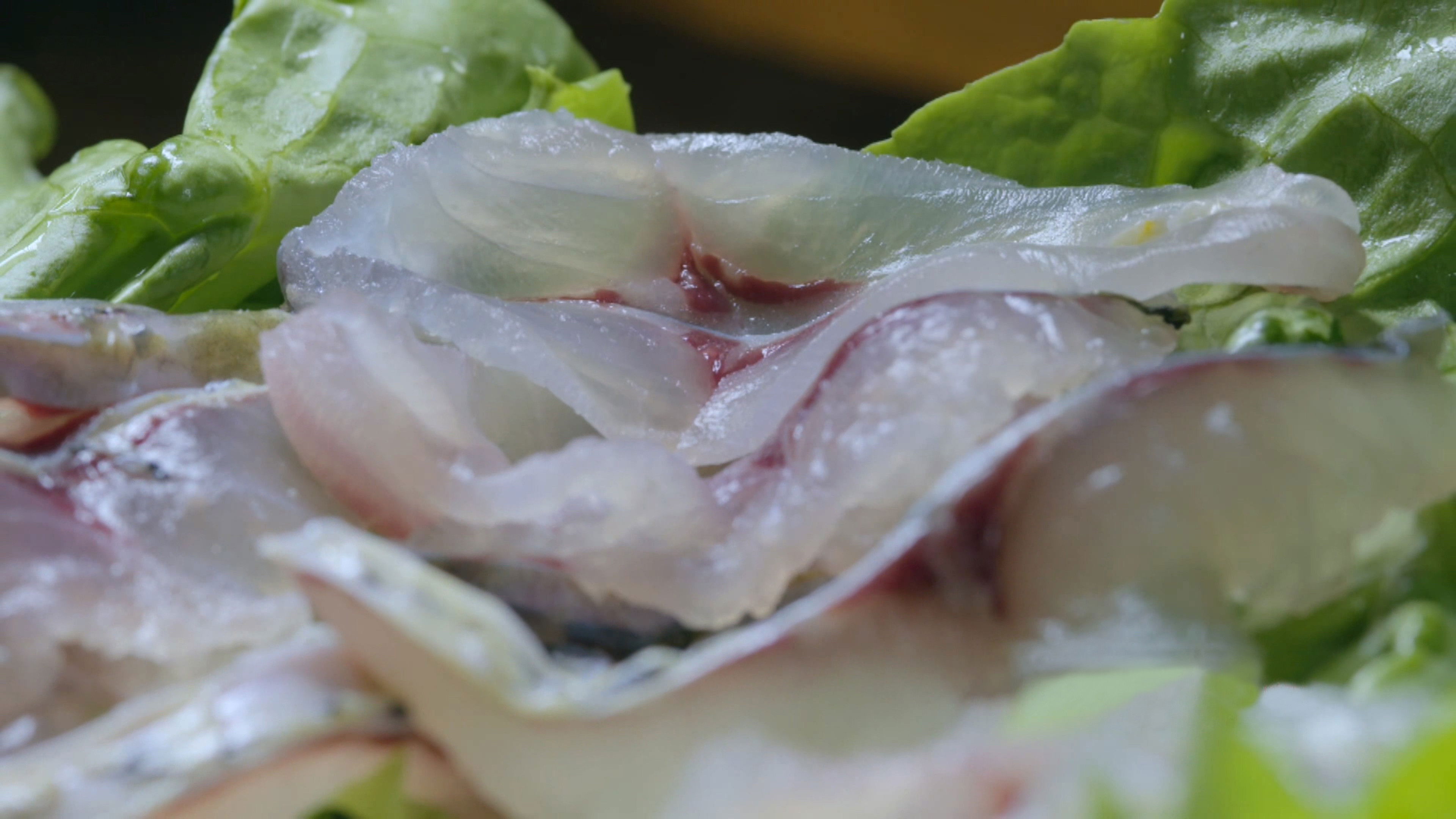 寻味顺德 Background