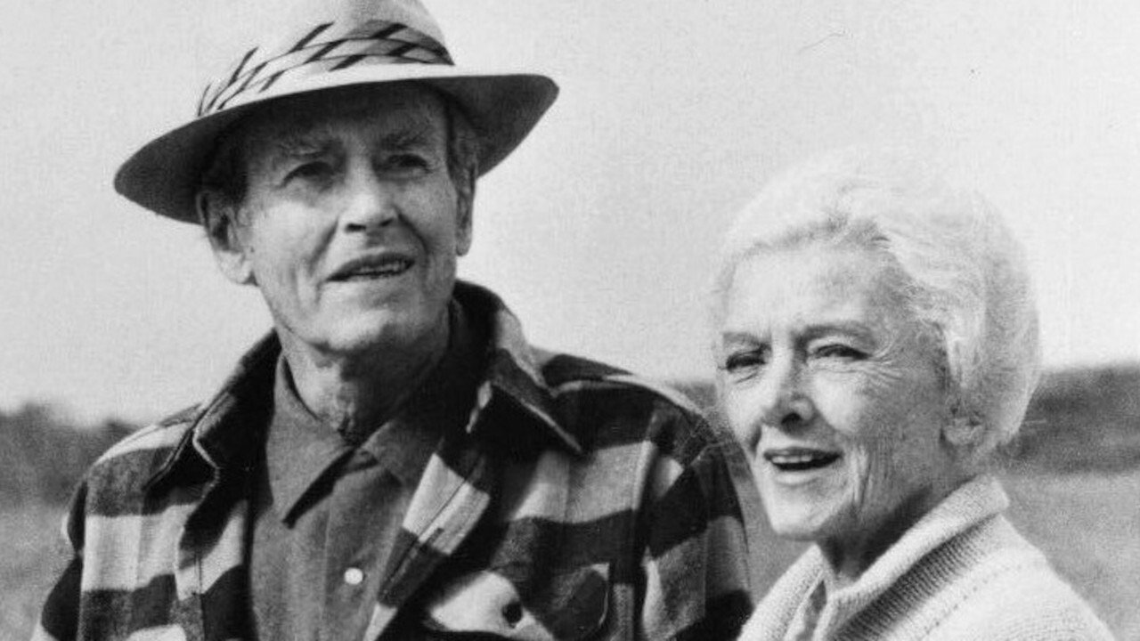 Summer Solstice Background