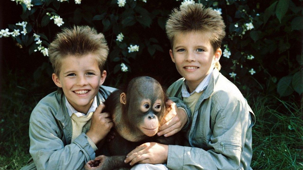 Twins at the Zoo Background