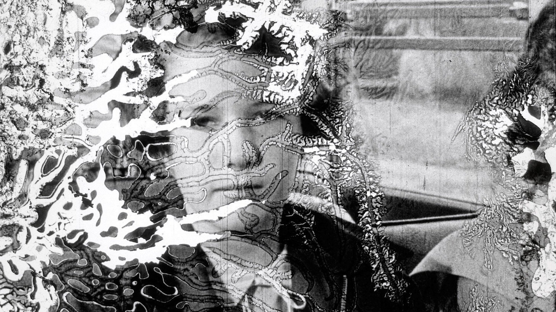 Decasia: The State of Decay Background