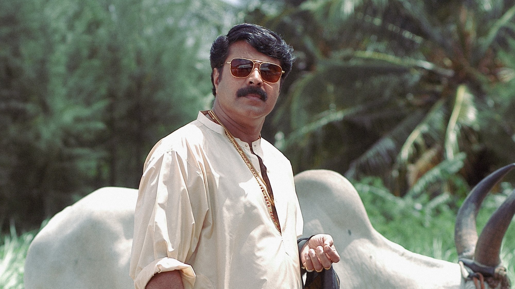 Rajamanikyam Background