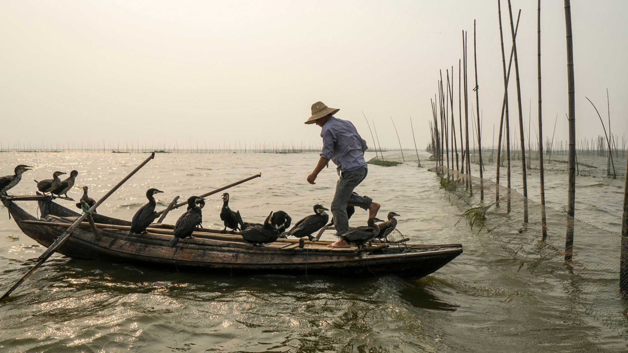 Along the Banks of the Yangtze Background