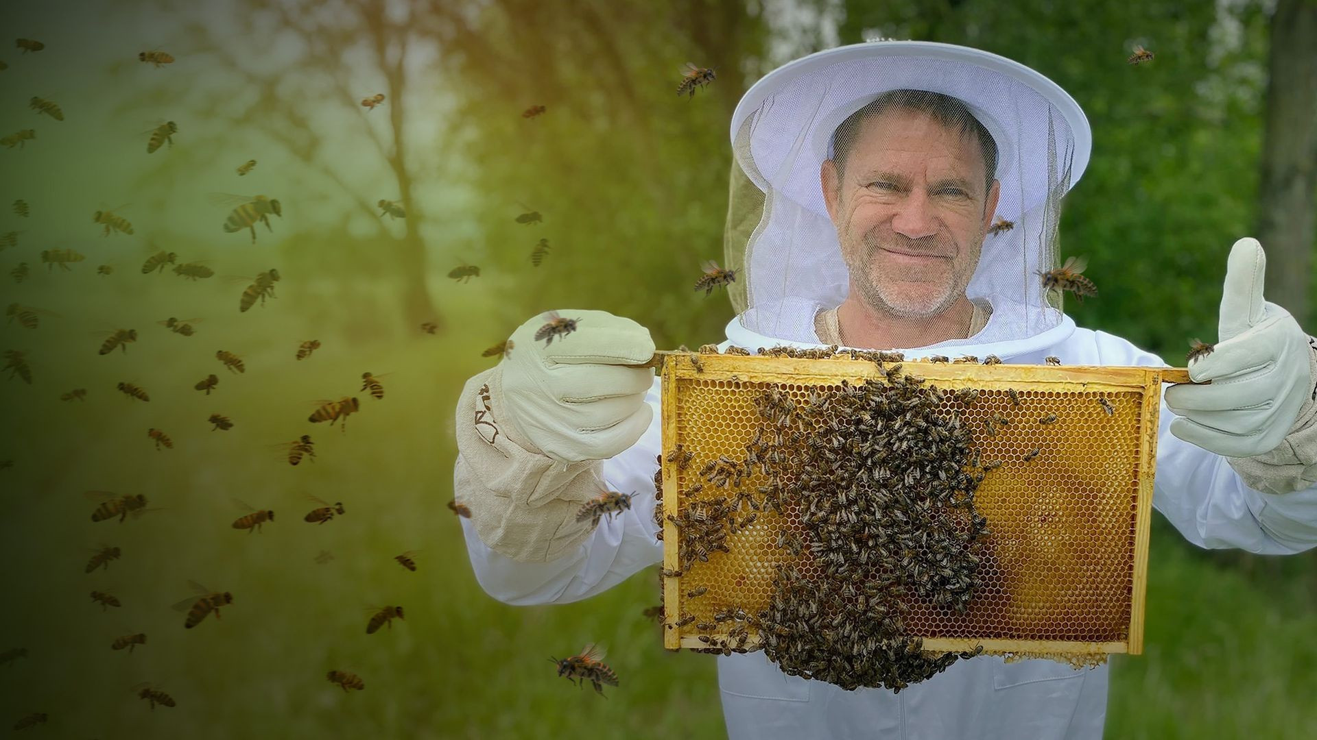 The Secret Life of Bees Background