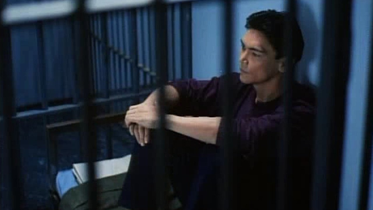 Bloodfist V: Human Target Background