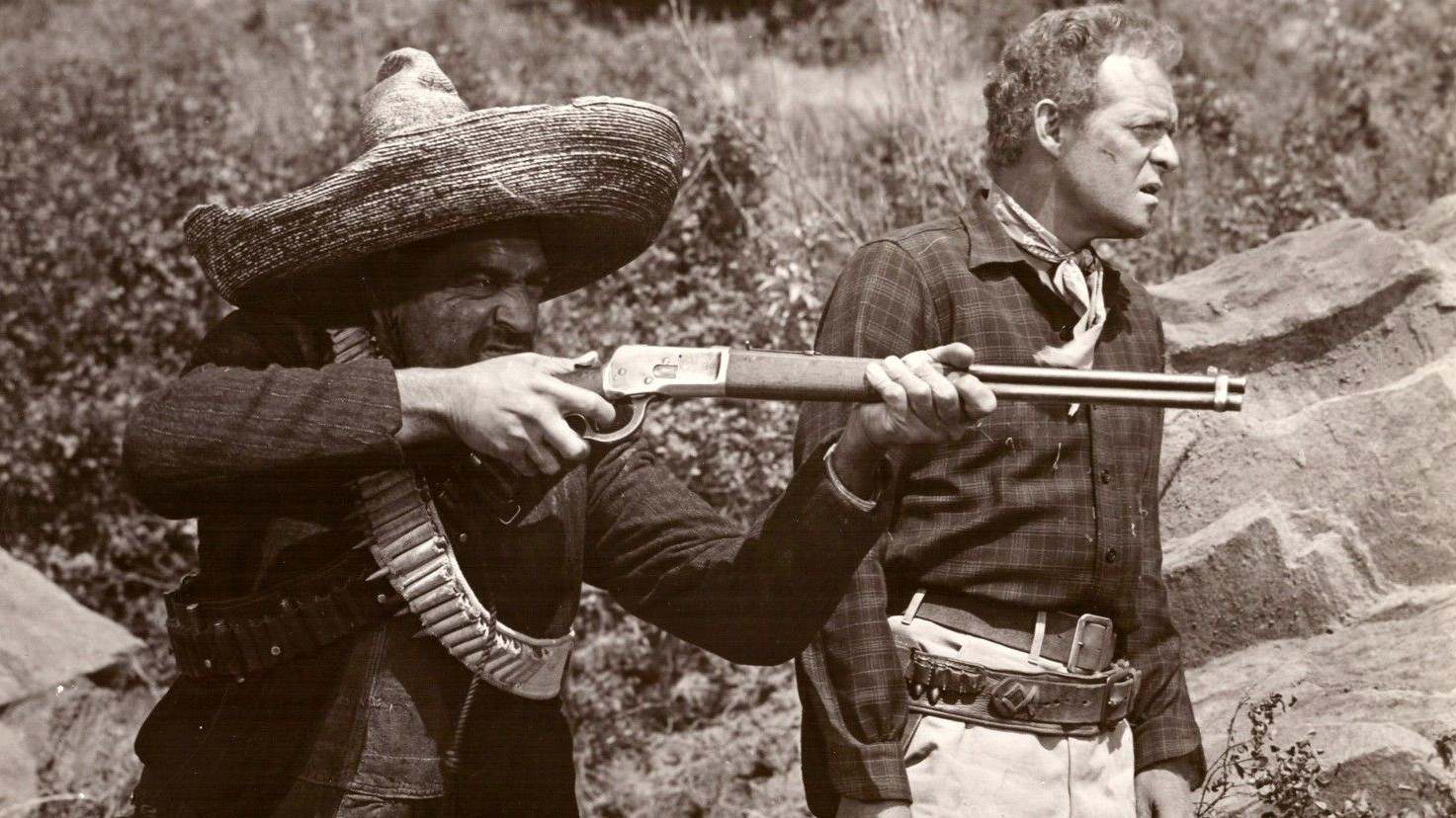 Wings of the Hawk Background