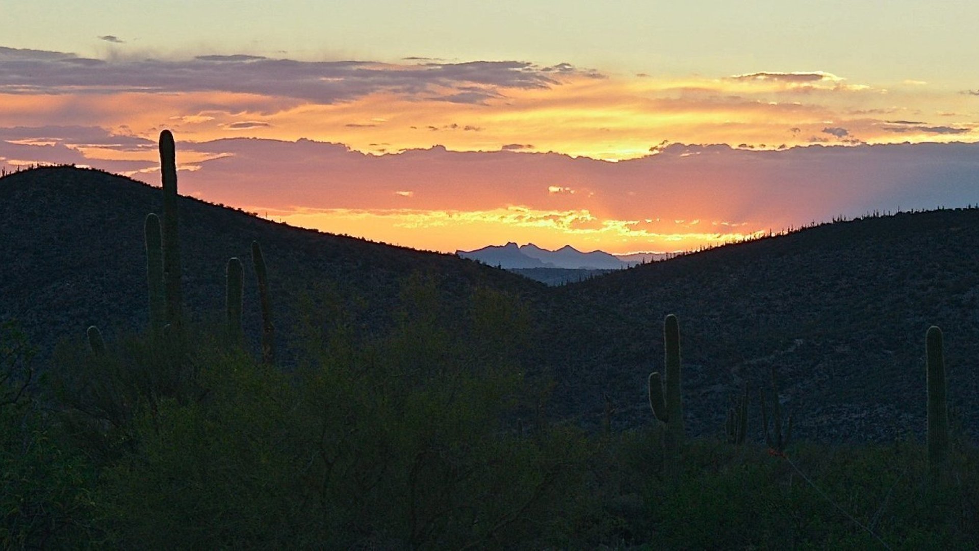 Misfortune Background