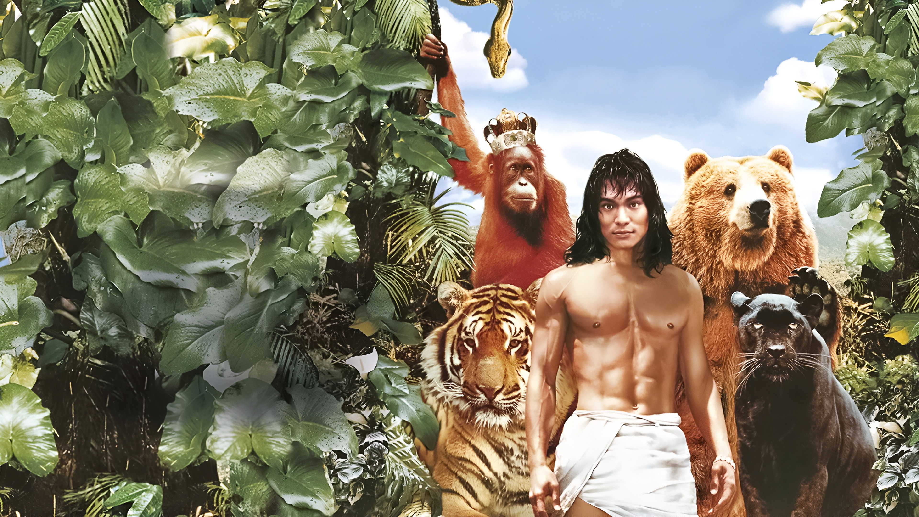 The Jungle Book Background