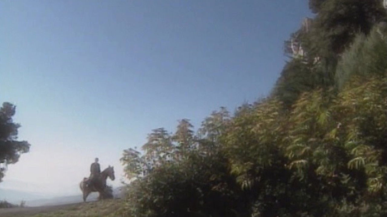 St. Gerard Majella: A Saint for Our Times Background