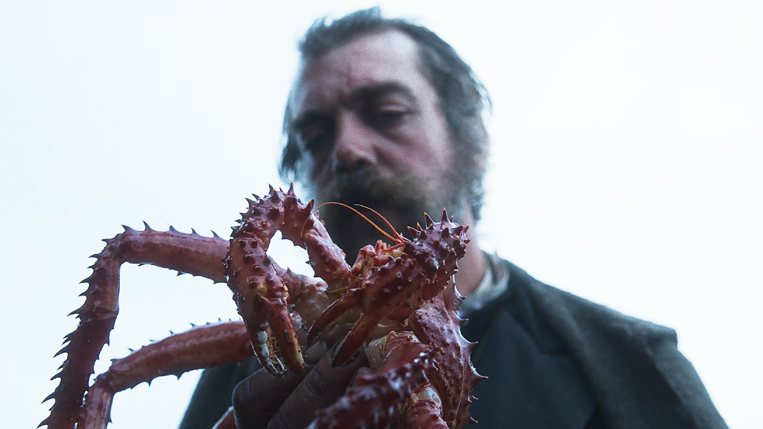 The Tale of King Crab Background