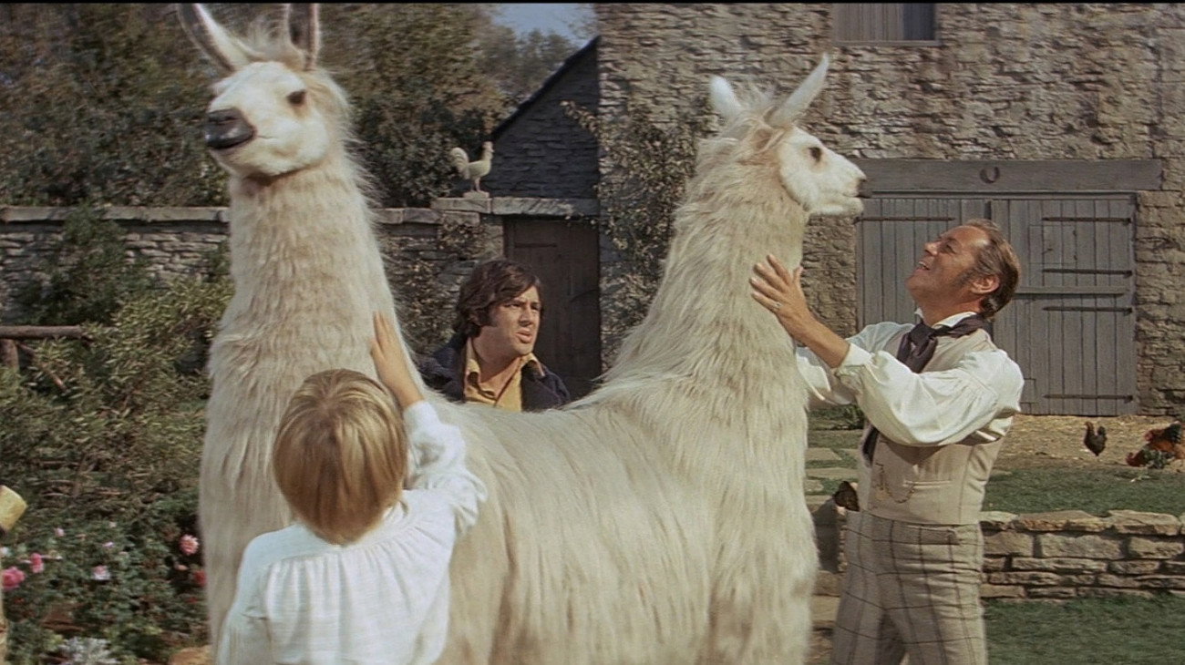 Doctor Dolittle Background