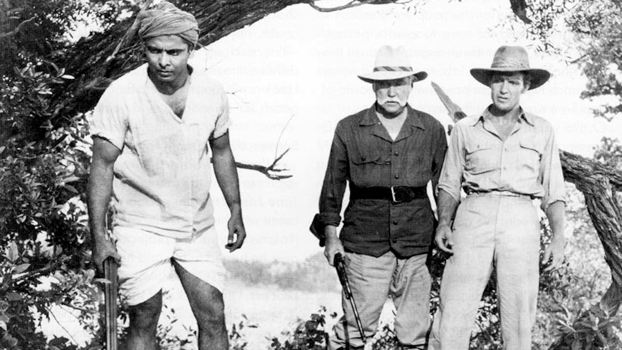 Bwana Devil Background