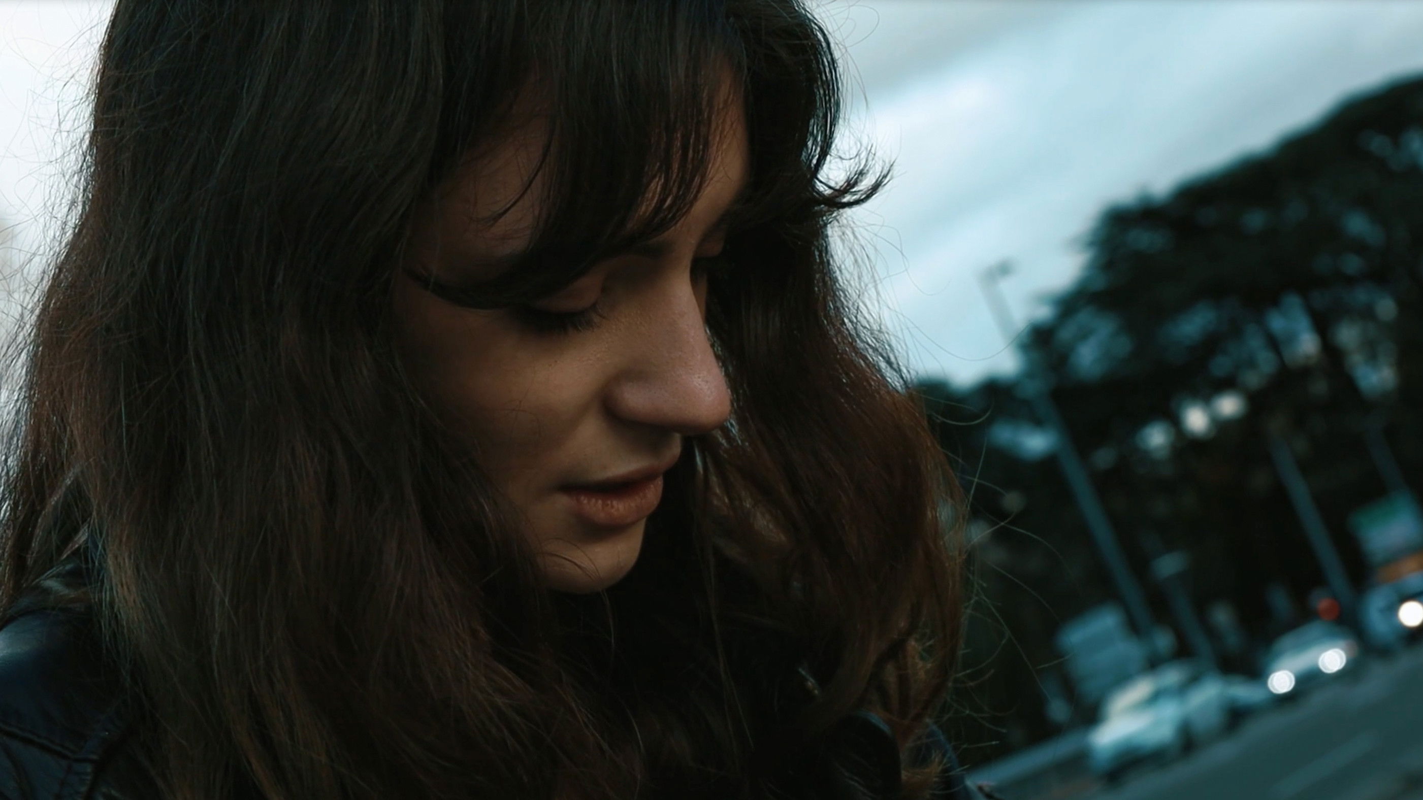 Parade Nuptiale Background