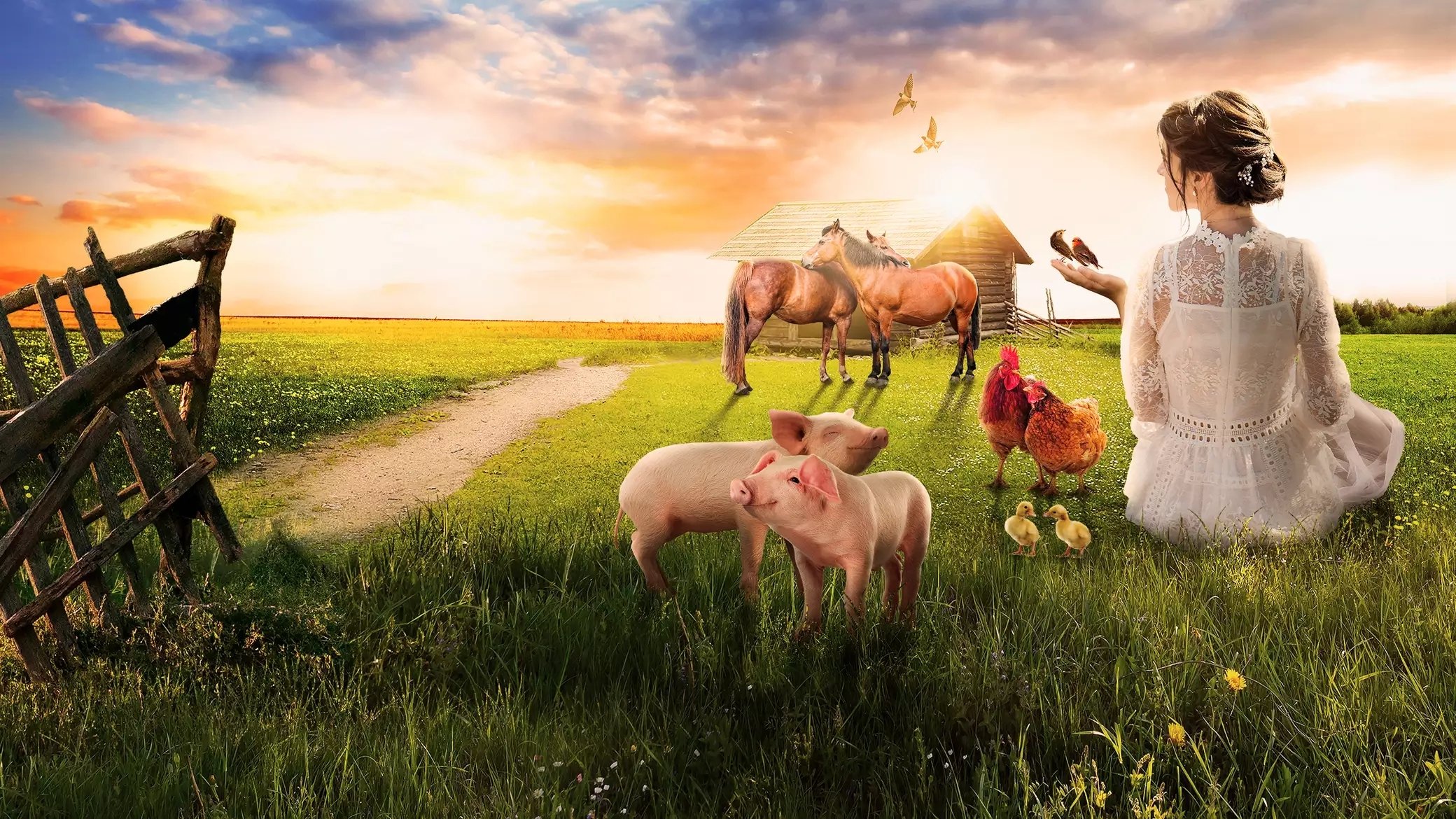 The Farmer Wants a Wife Background