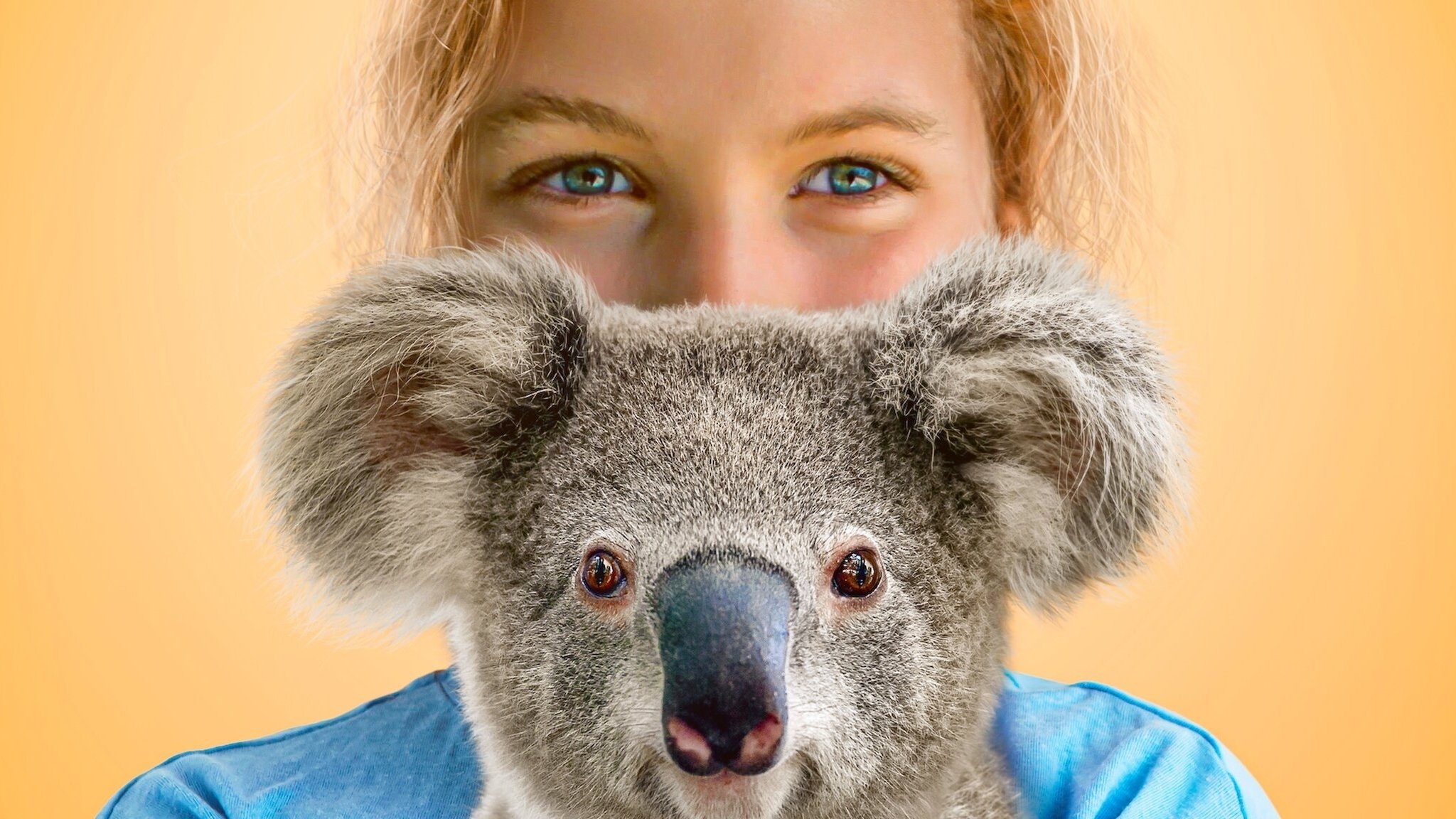 Izzy's Koala World Background
