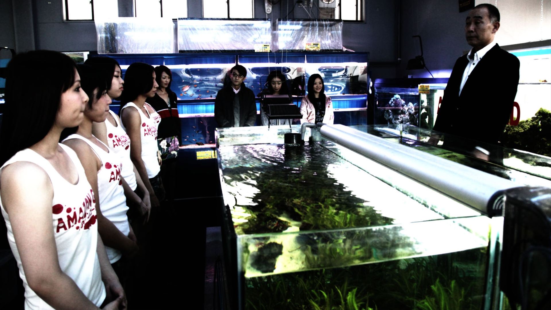 Cold Fish Background