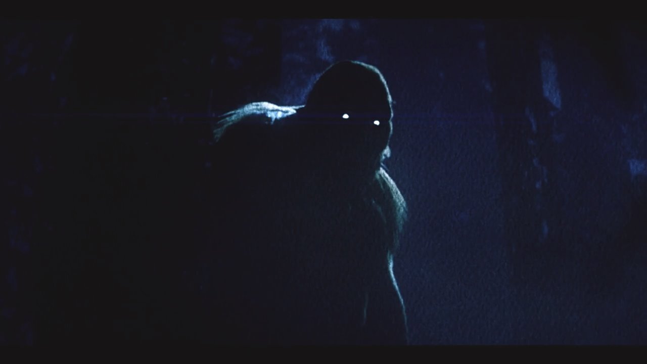 On the Trail of Bigfoot:  Land of the Missing Background