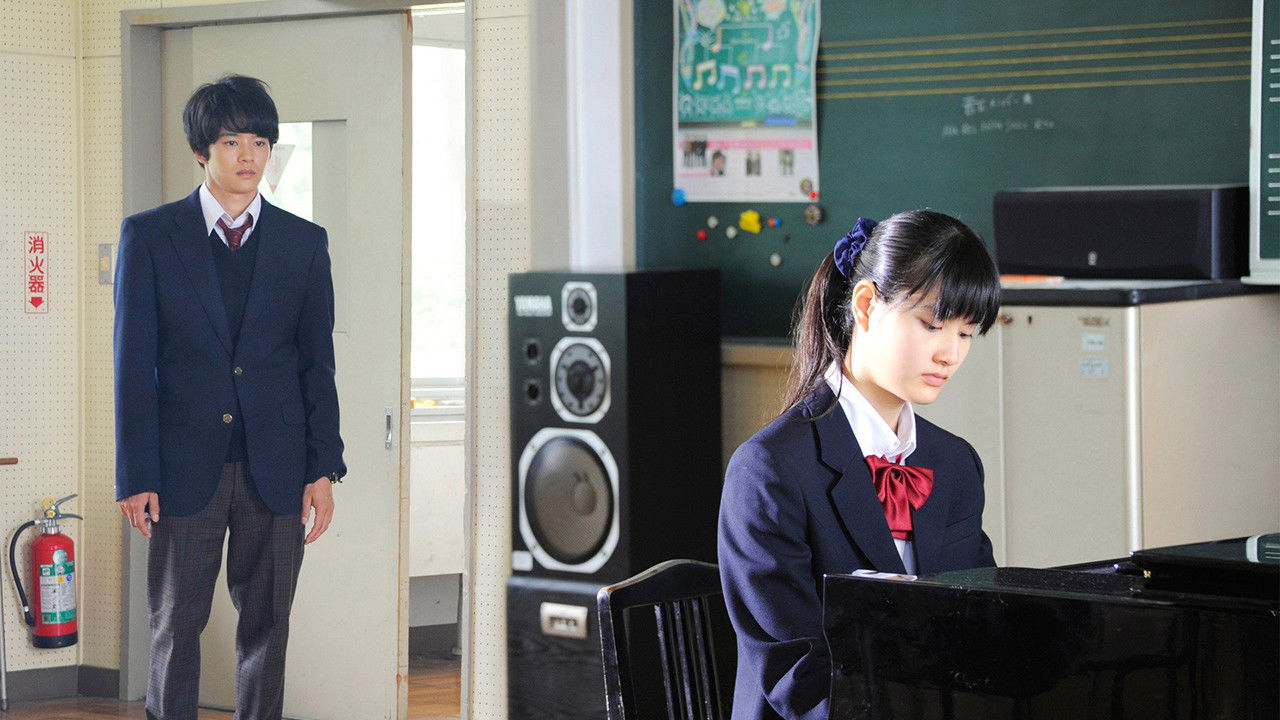 Adult Drop Background