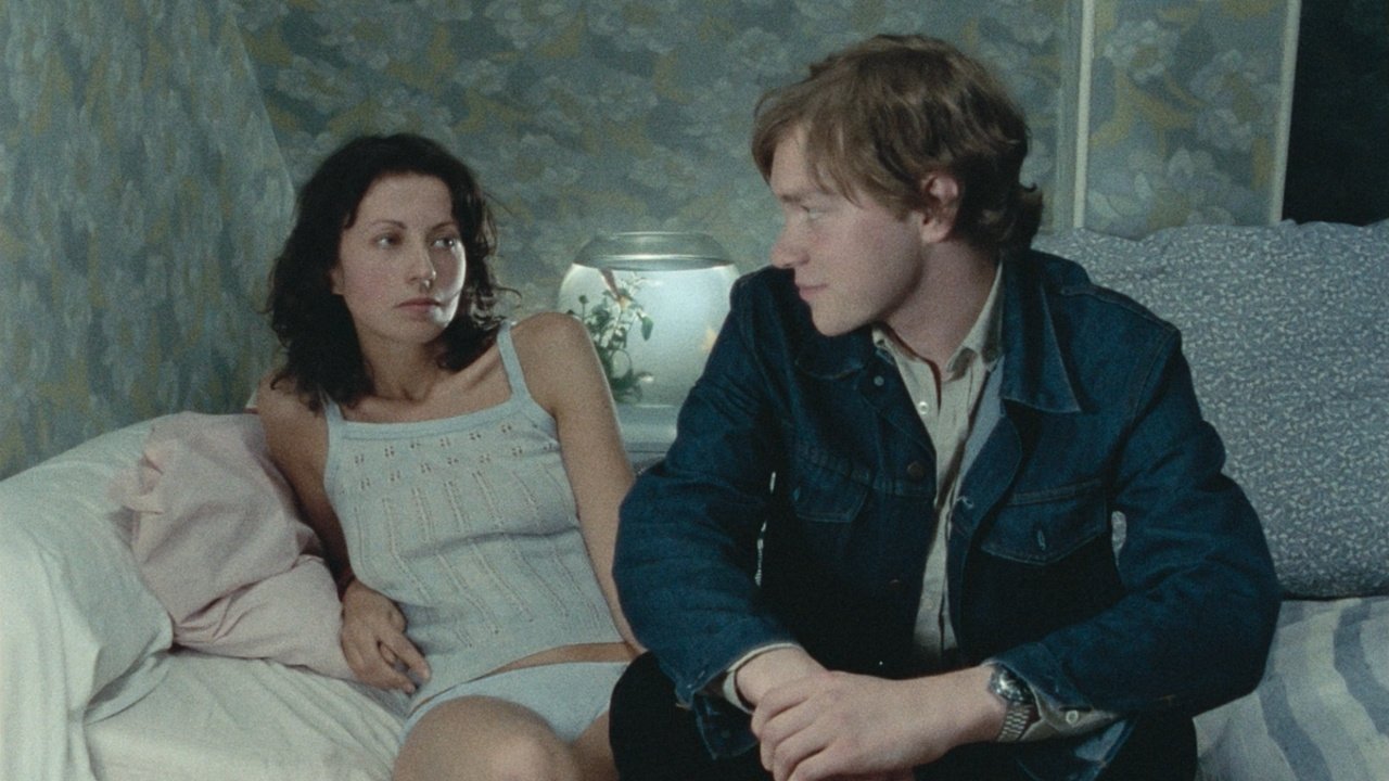 The Aviator's Wife Background