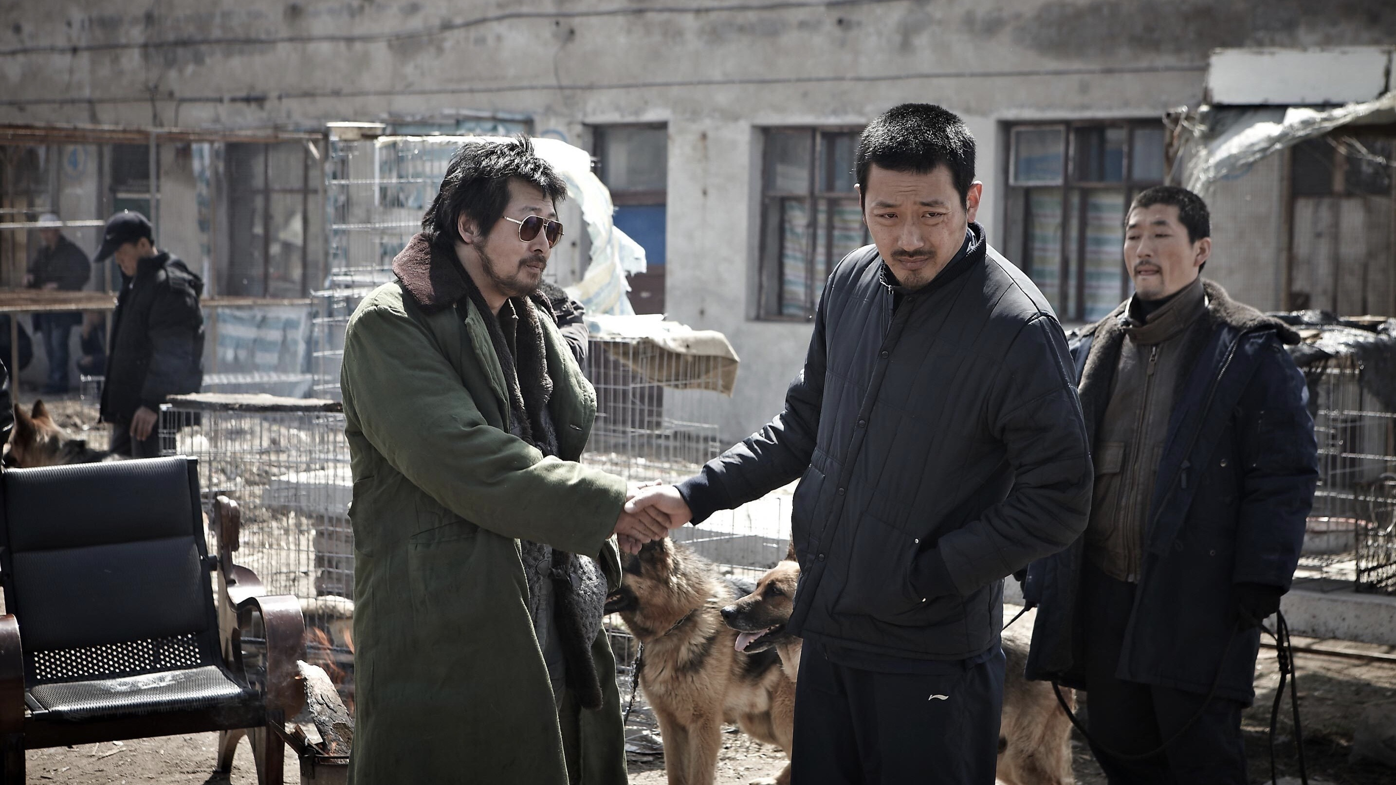 The Yellow Sea Background