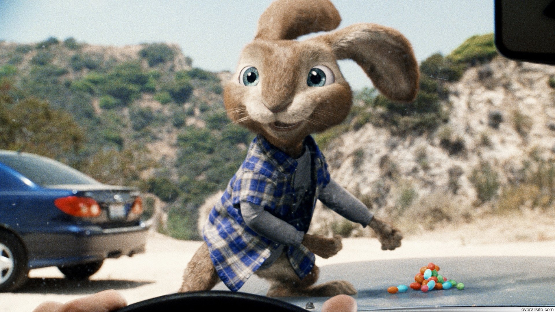 Hop Background