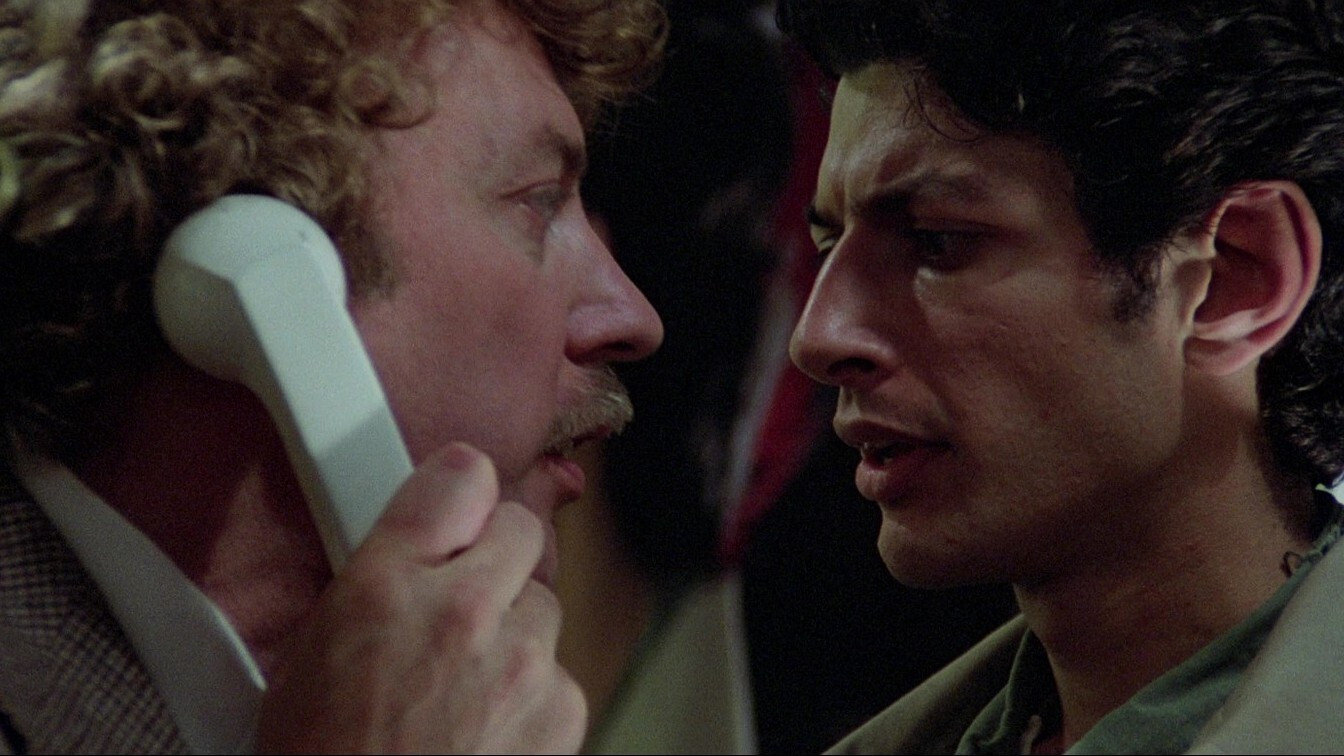 Invasion of the Body Snatchers Background