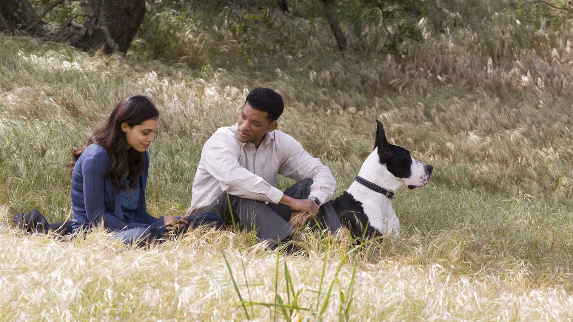 Seven Pounds Background
