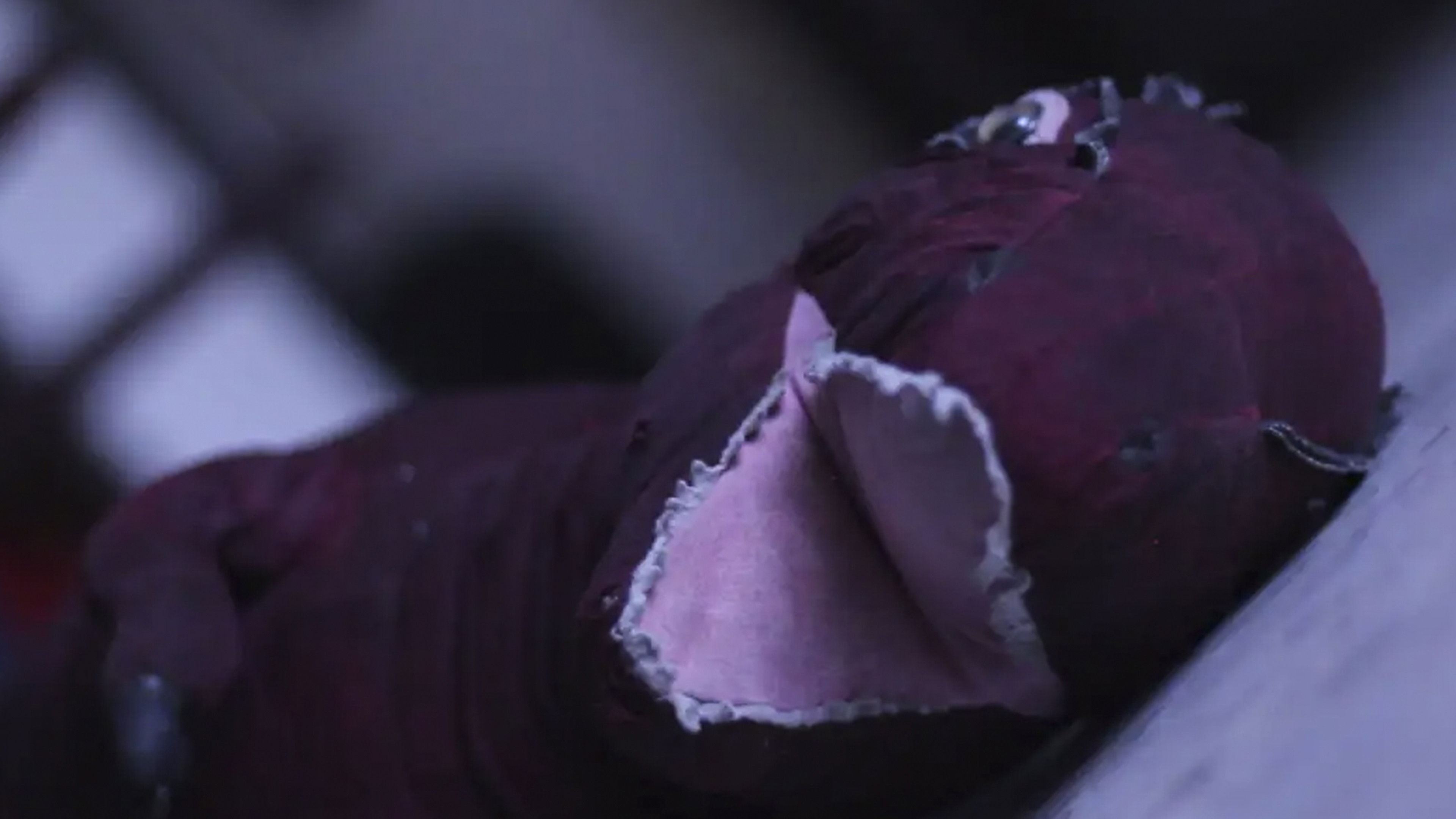 Algofobia Background