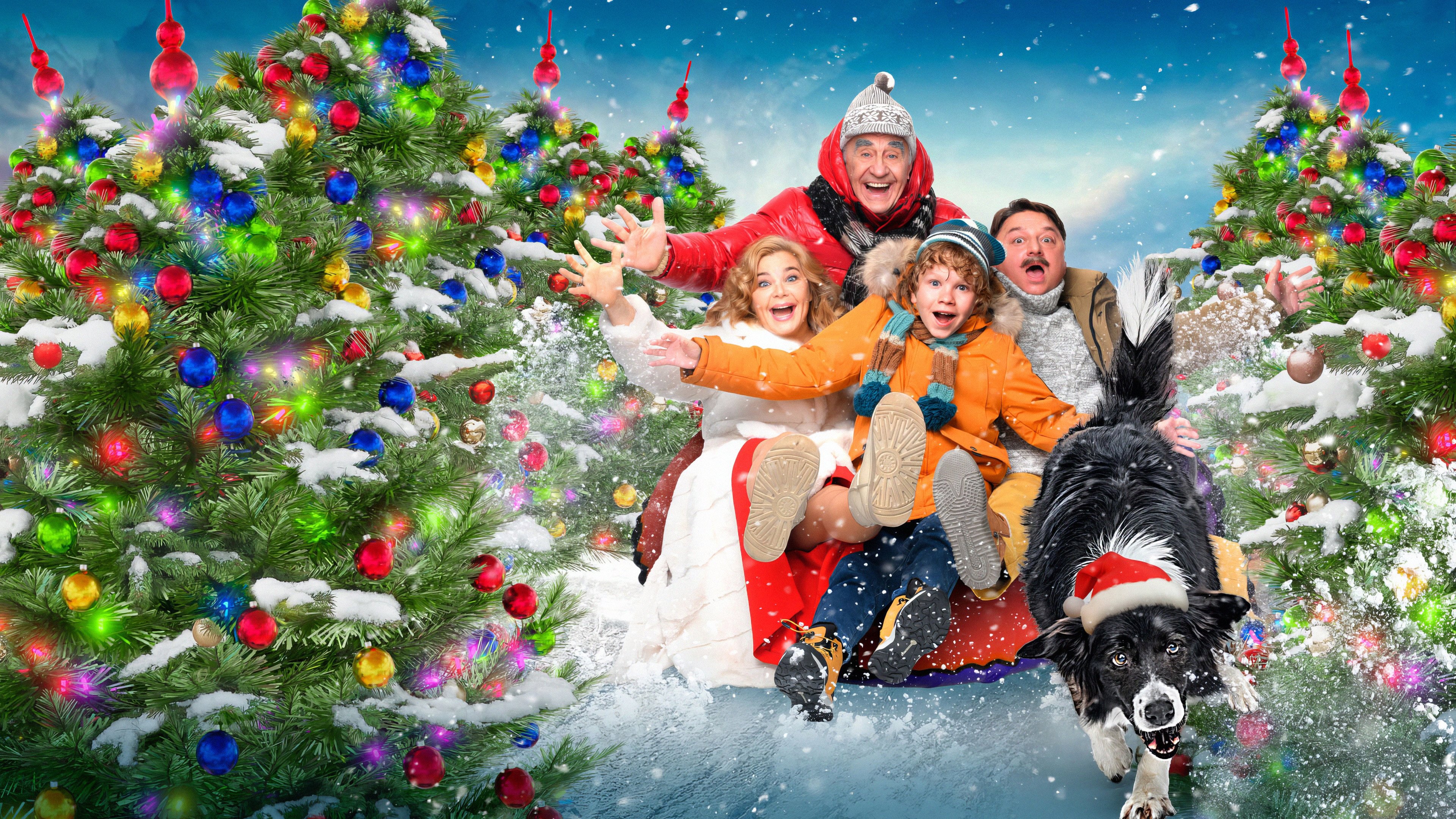 It's My Damn Business Background