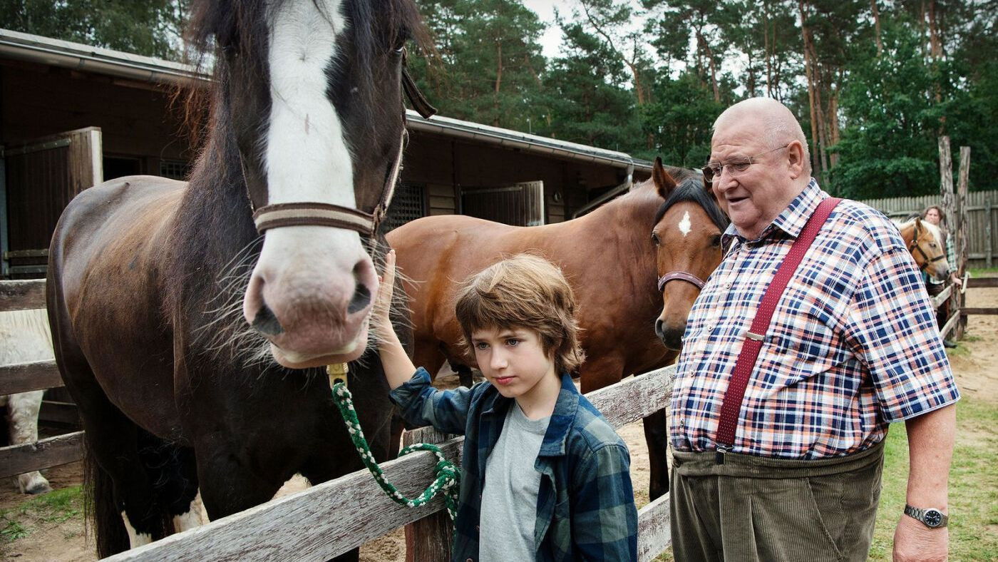 Krauses Zukunft Background