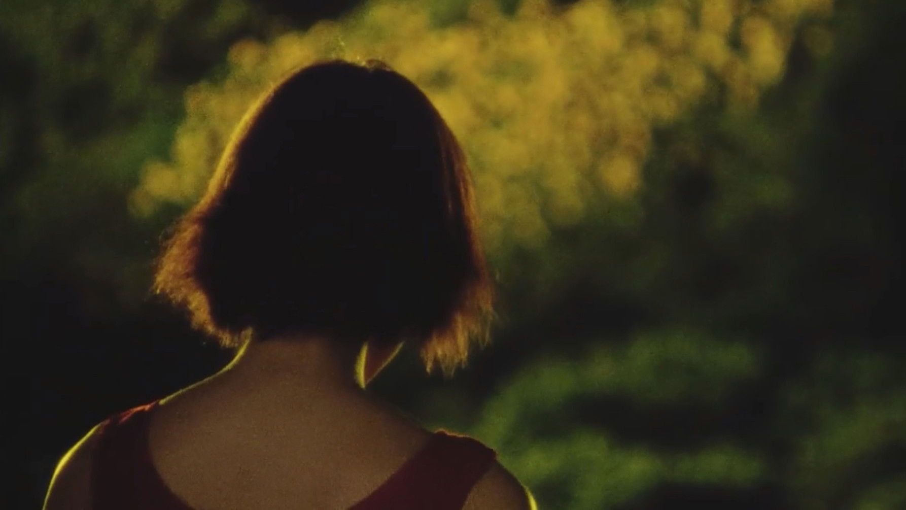 Sunflower Background