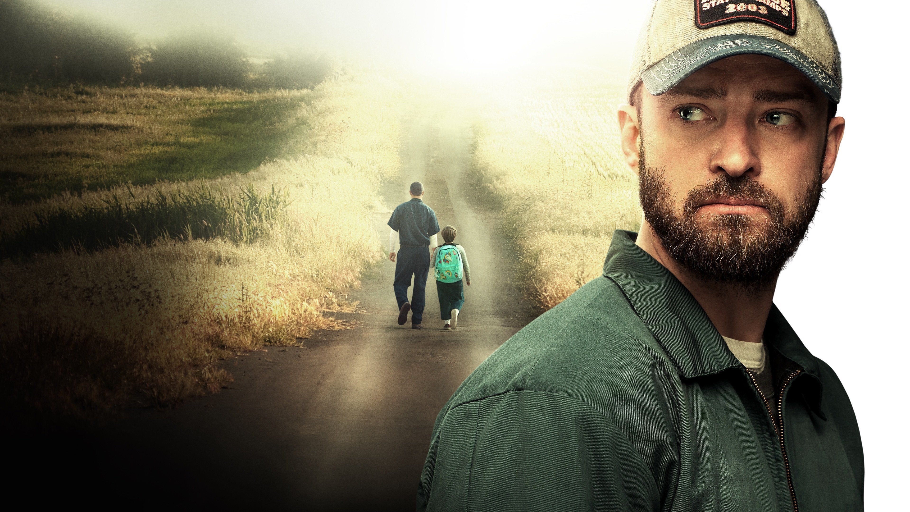 Palmer Background