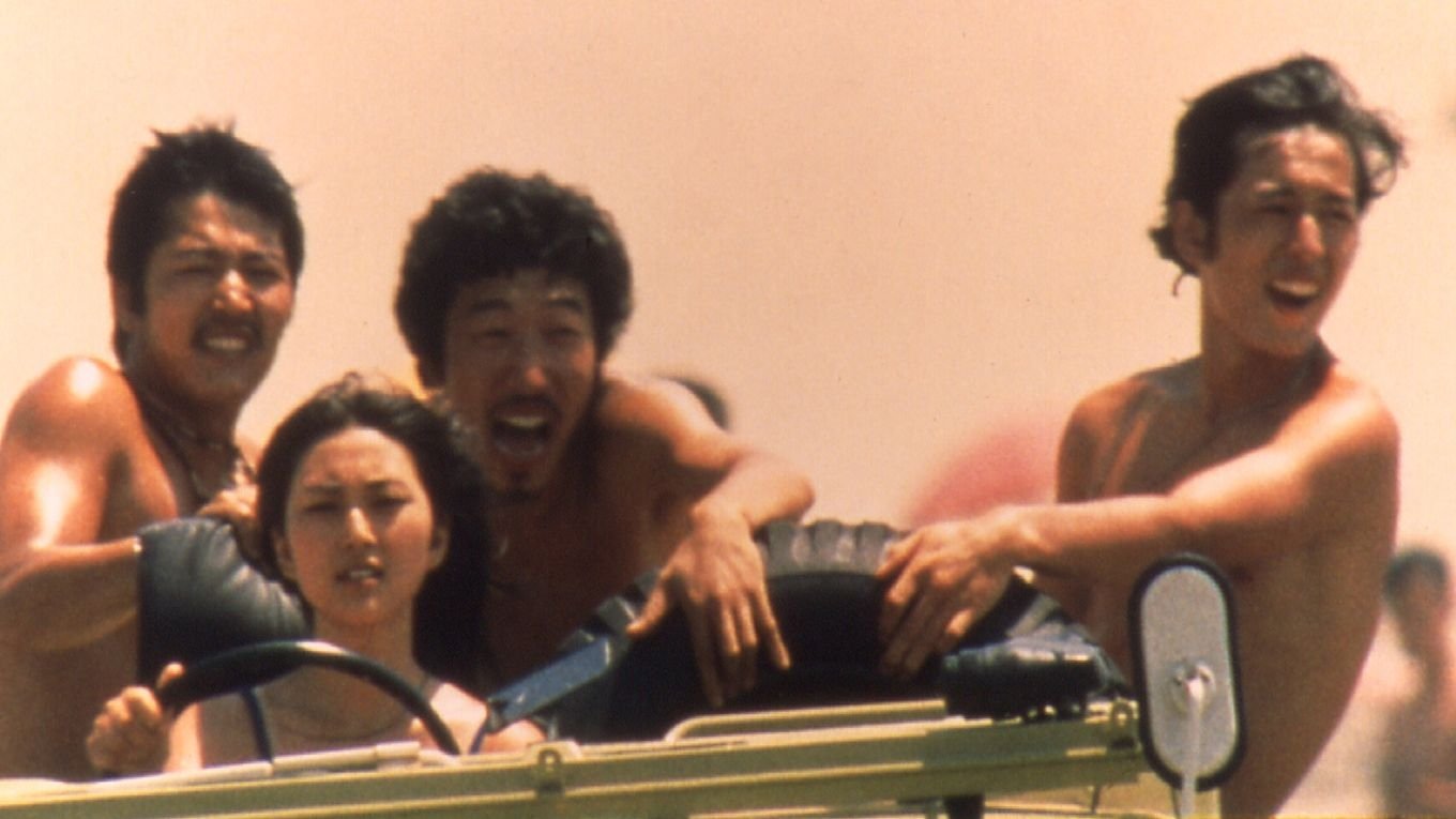 Stray Cat Rock: Wild Jumbo Background