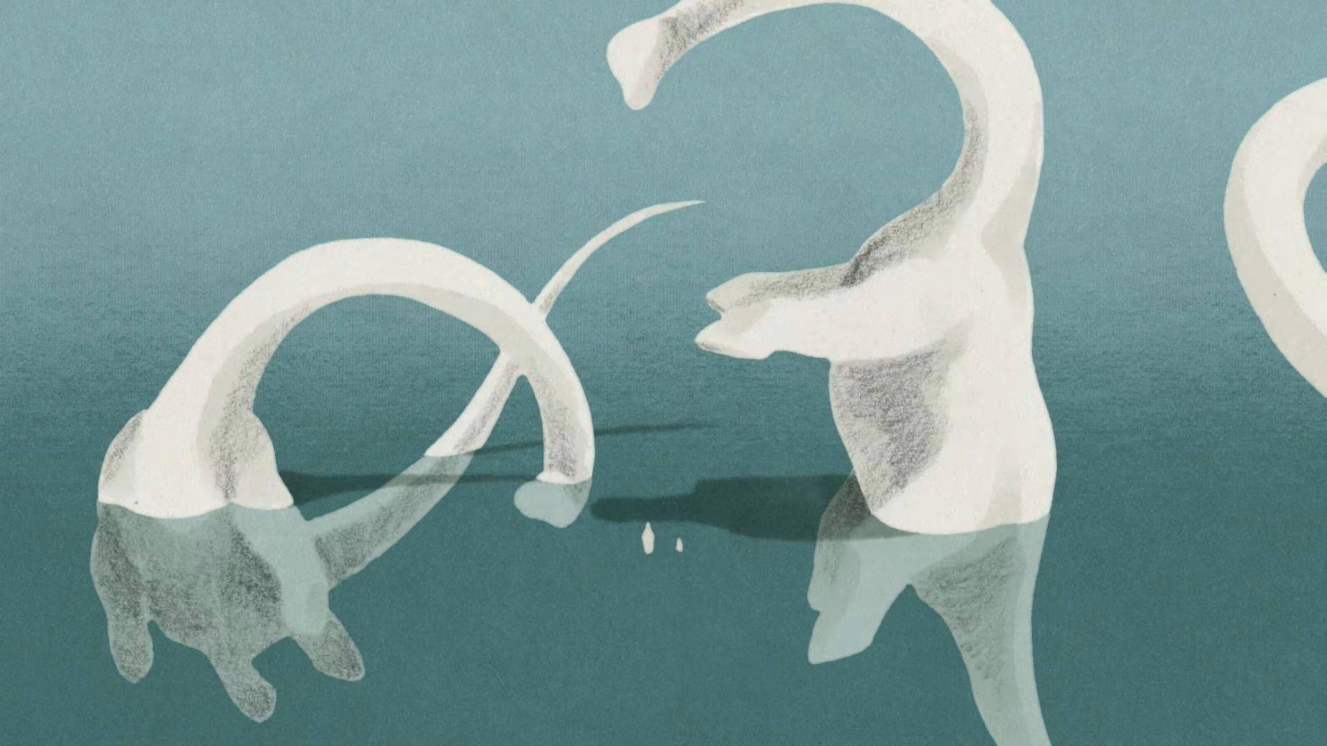 Scutes on my mind Background