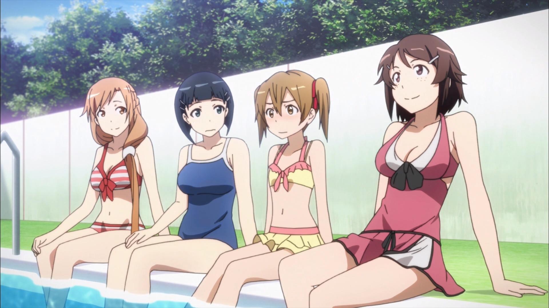 Sword Art Online: Extra Edition Background