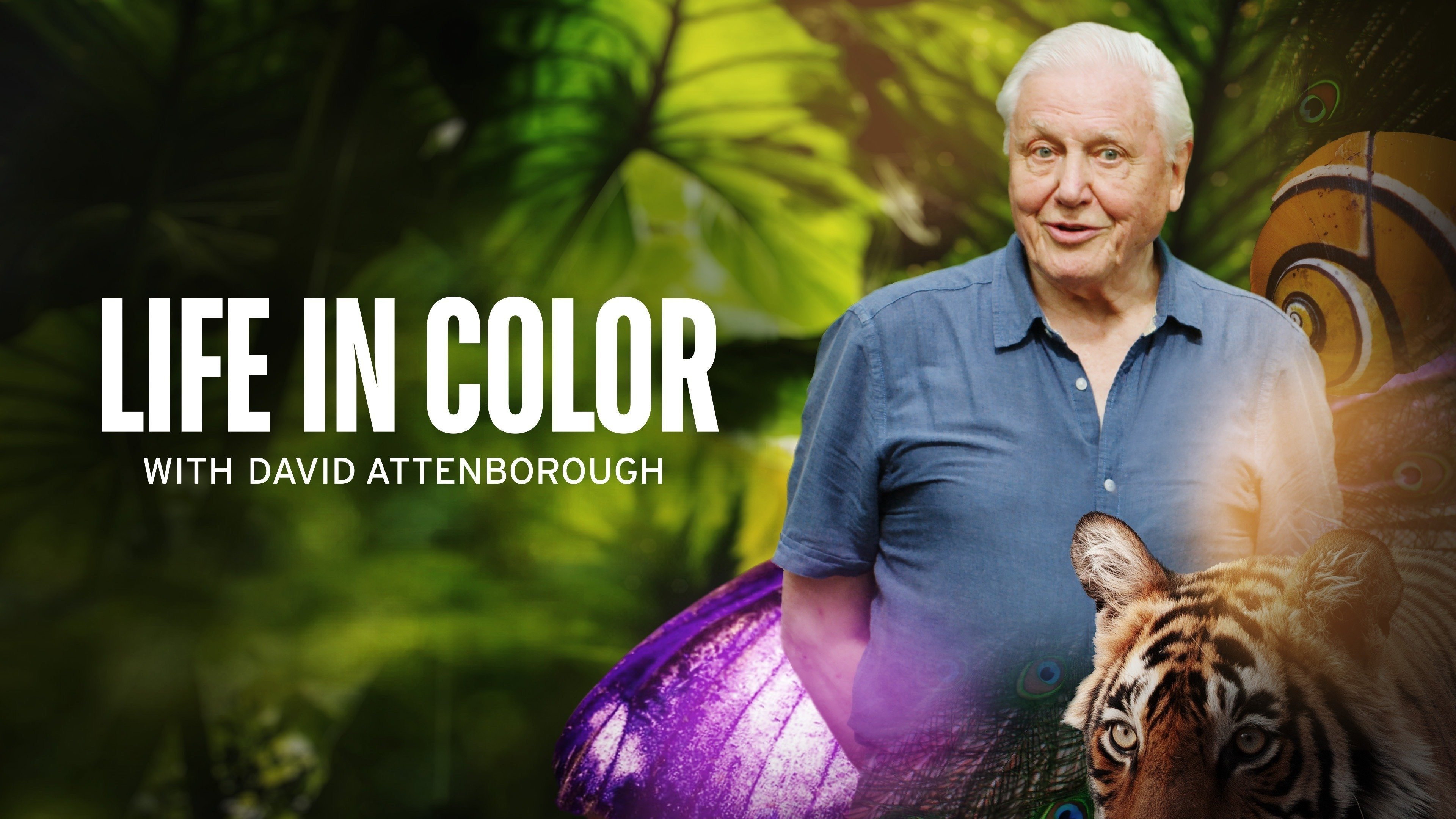 Attenborough's Life in Colour Background