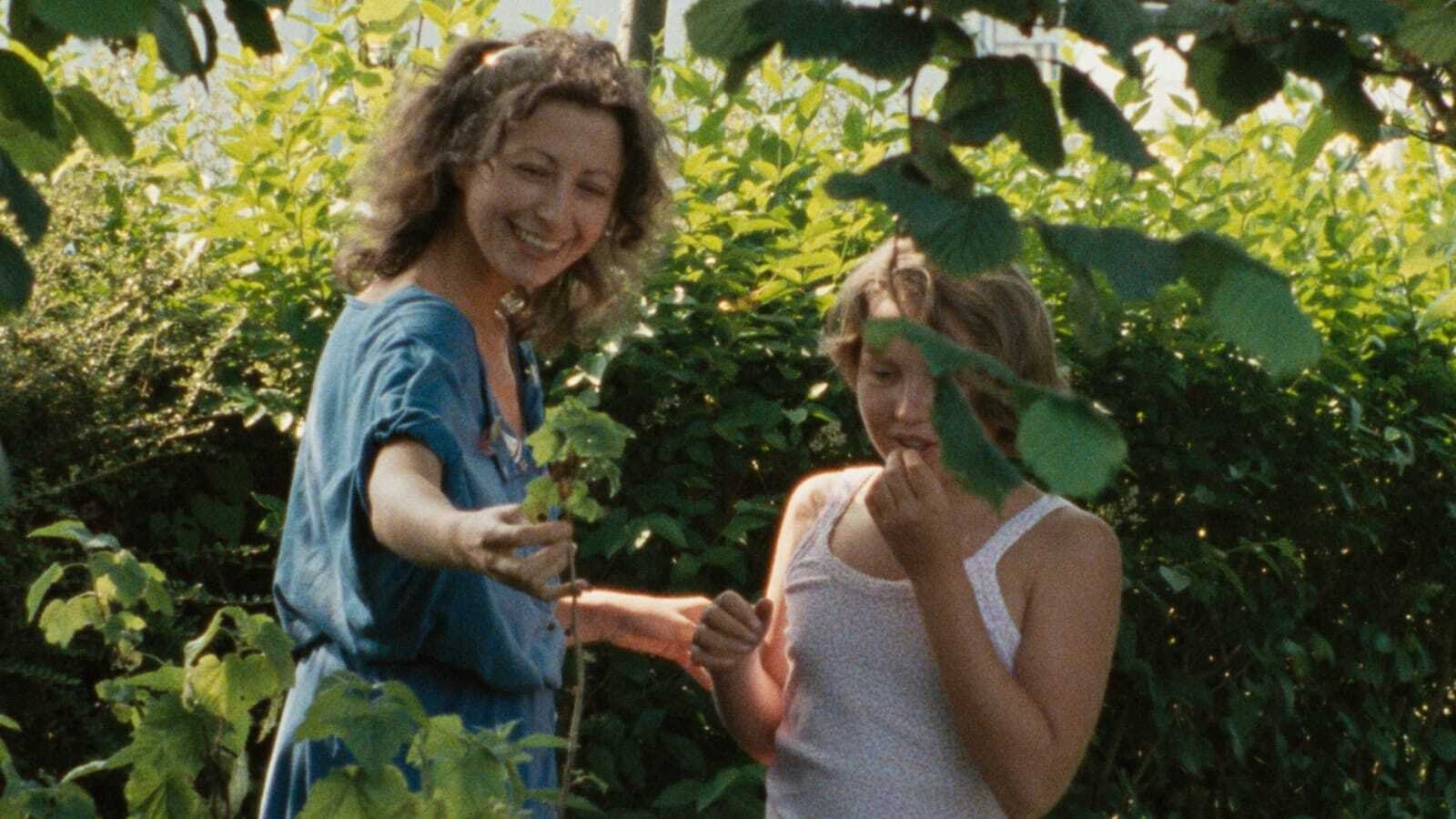 The Green Ray Background