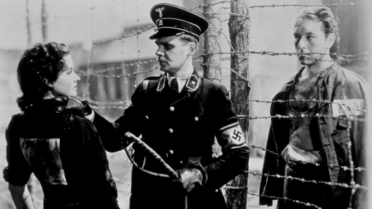 Night Train to Munich Background