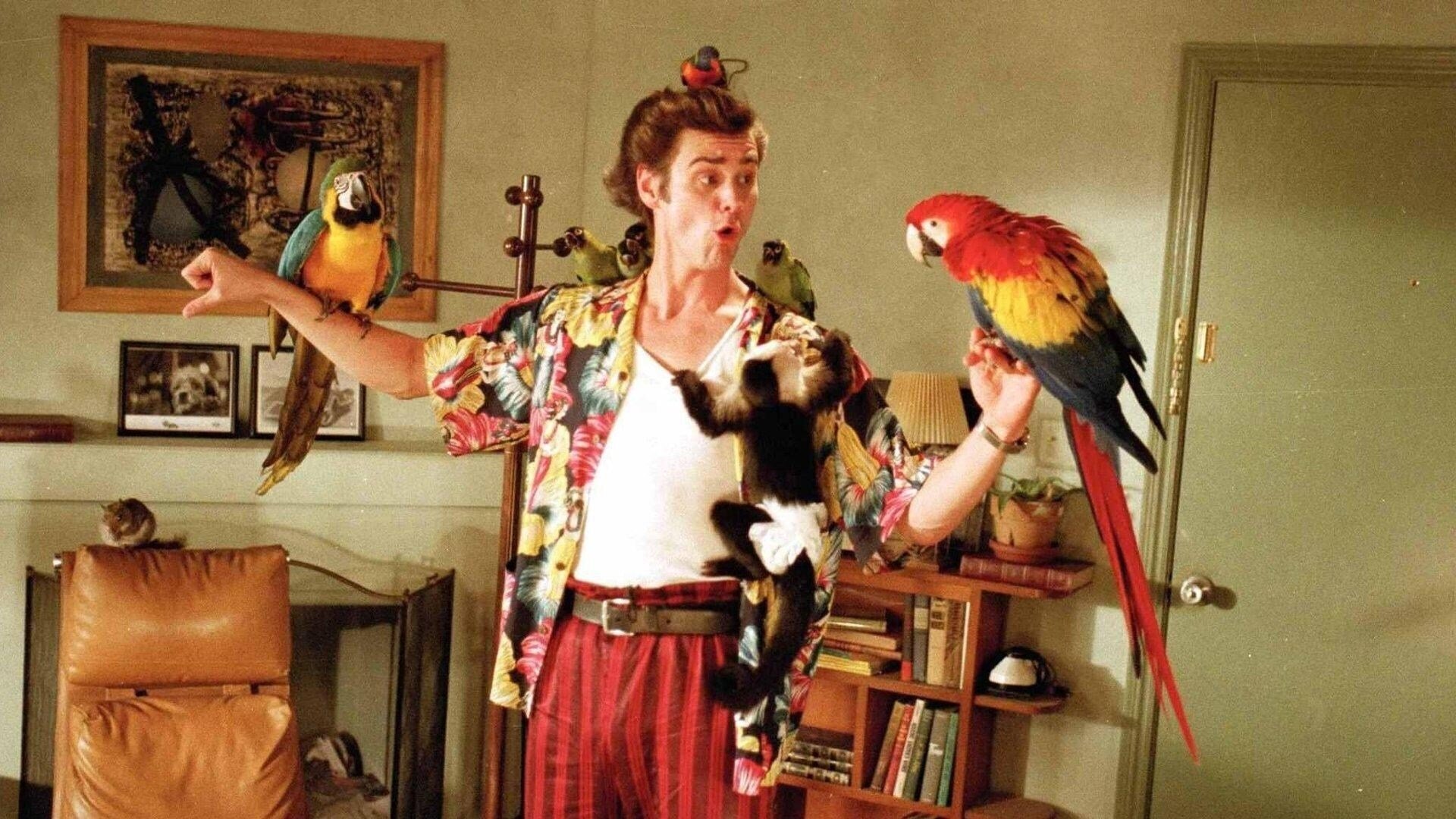 Ace Ventura: Pet Detective Background