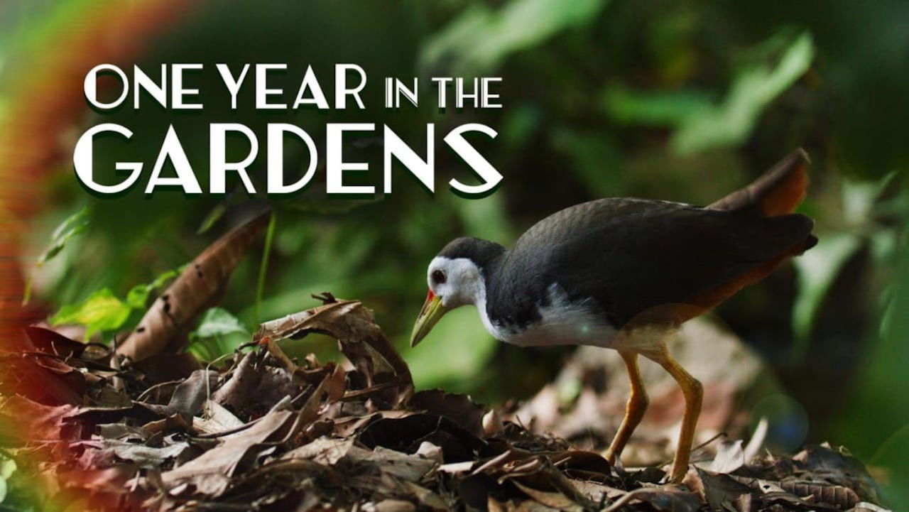 One Year in the Gardens Background