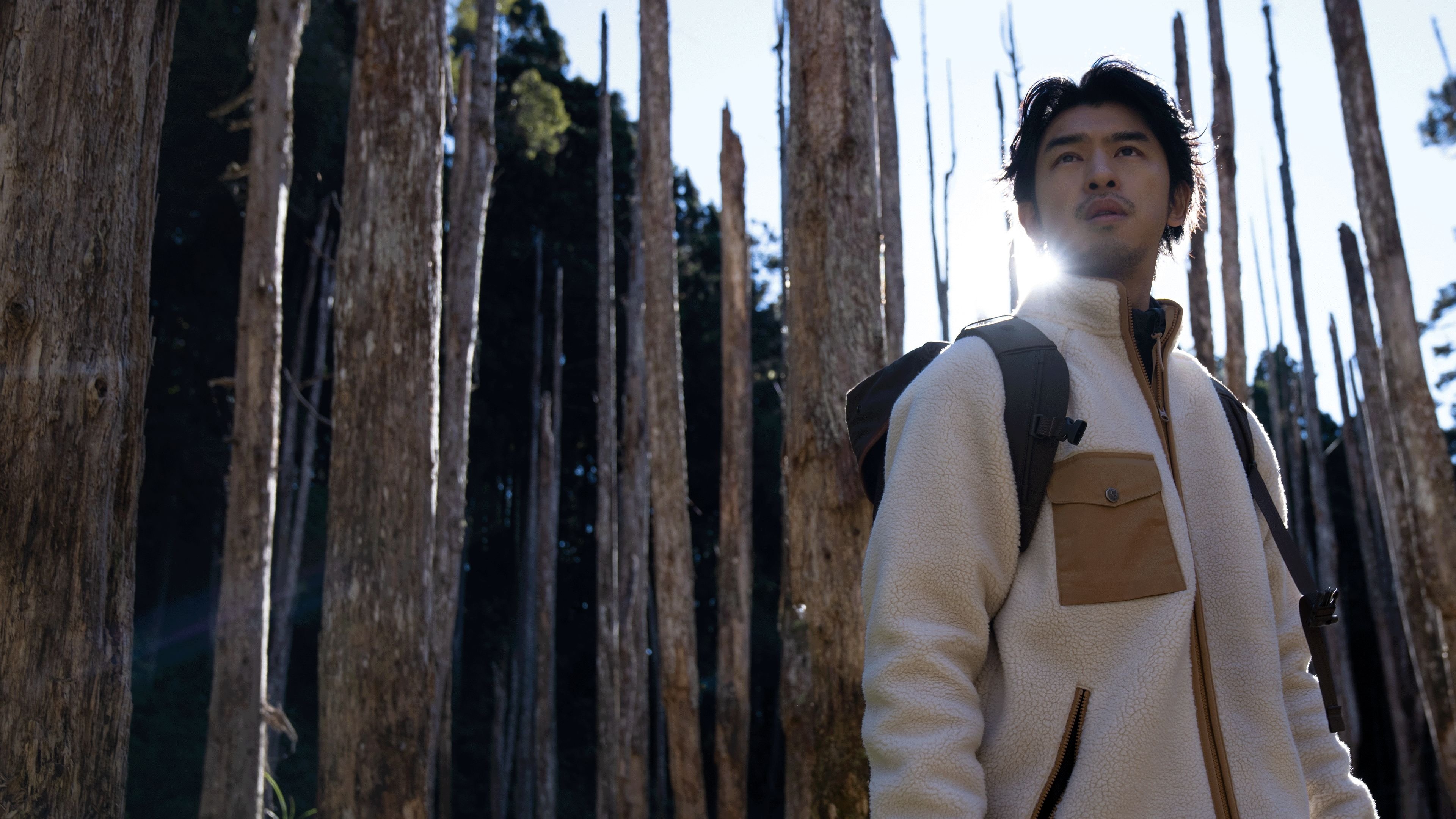 Extreme Forest Background