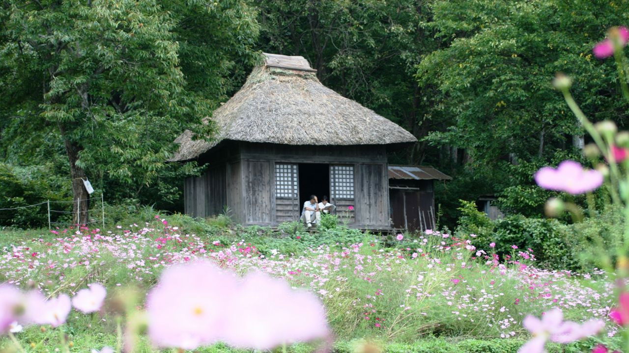 Letter from the Mountain Background