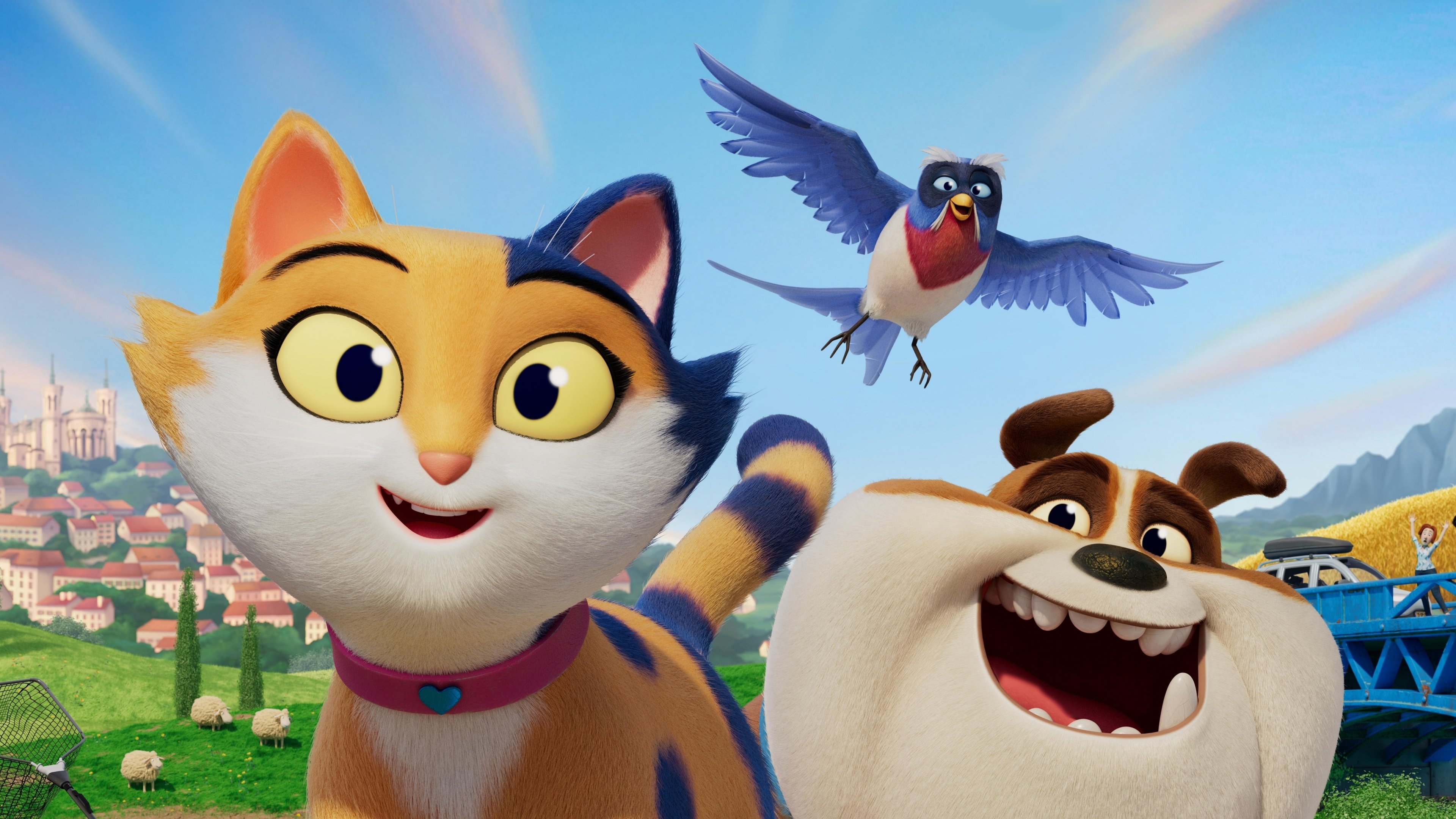 Miss Moxy Background