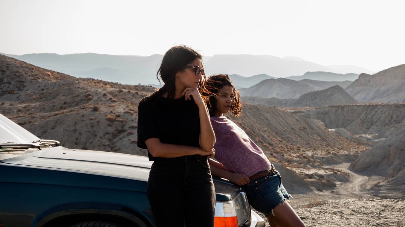 Carnivores Background