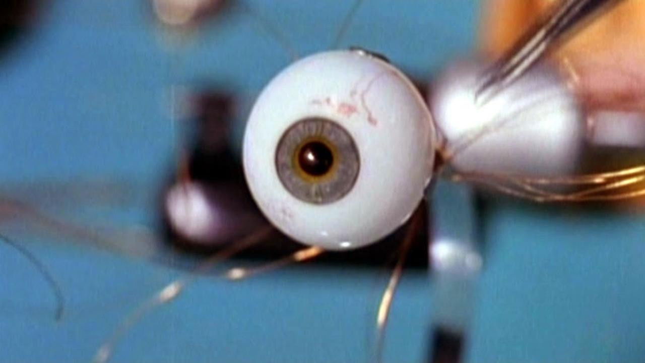 Spy in Your Eye Background