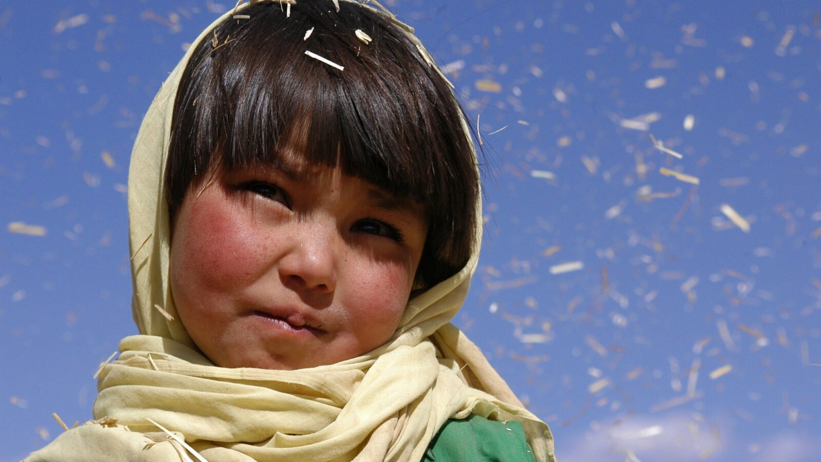 Buddha Collapsed Out of Shame Background