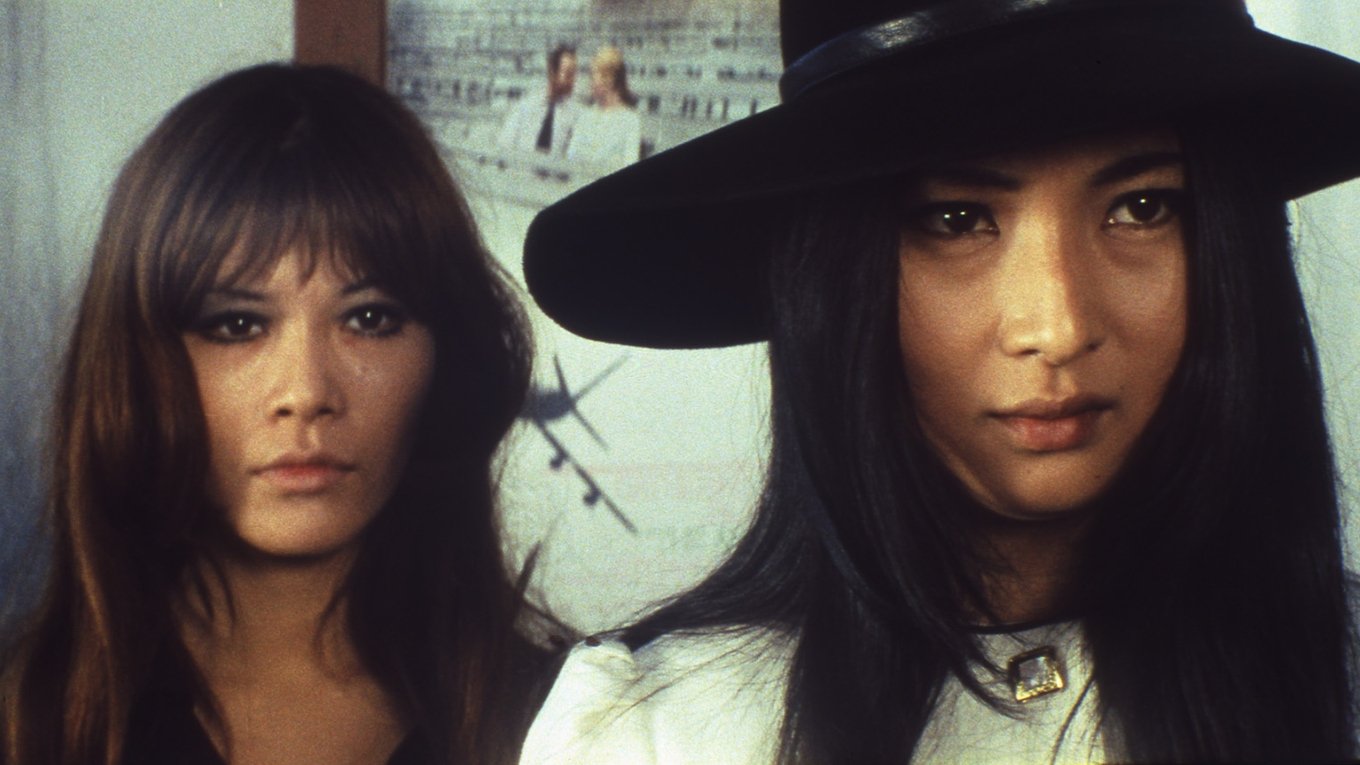 Stray Cat Rock: Machine Animal Background