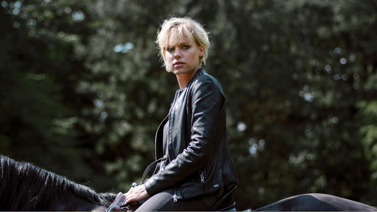 Trakehnerblut Background